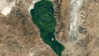 A satellite photo of a lake in the desert with dark green swirling waters from an algal bloom