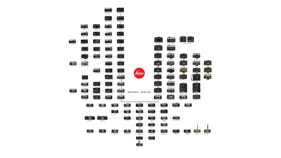 Leica family tree