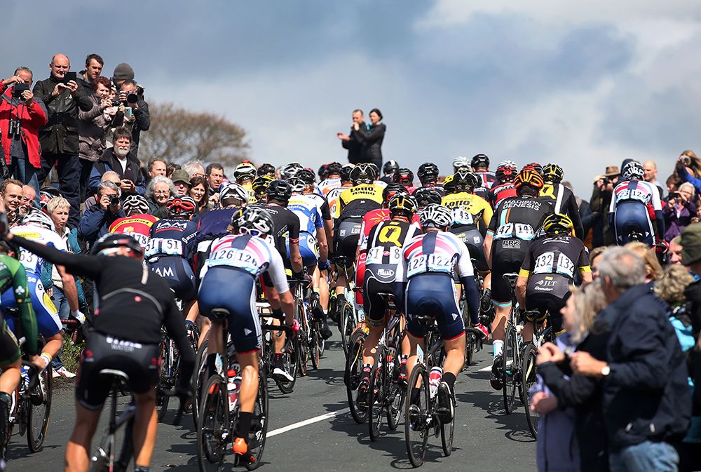 The view at the back of the bunch