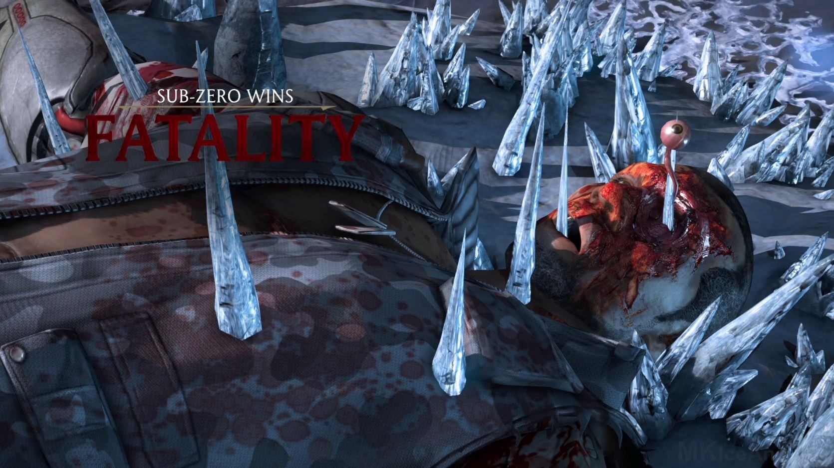 FATALITY: Sub-Zero Wins!