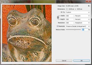 Image size dialog box - unsampled