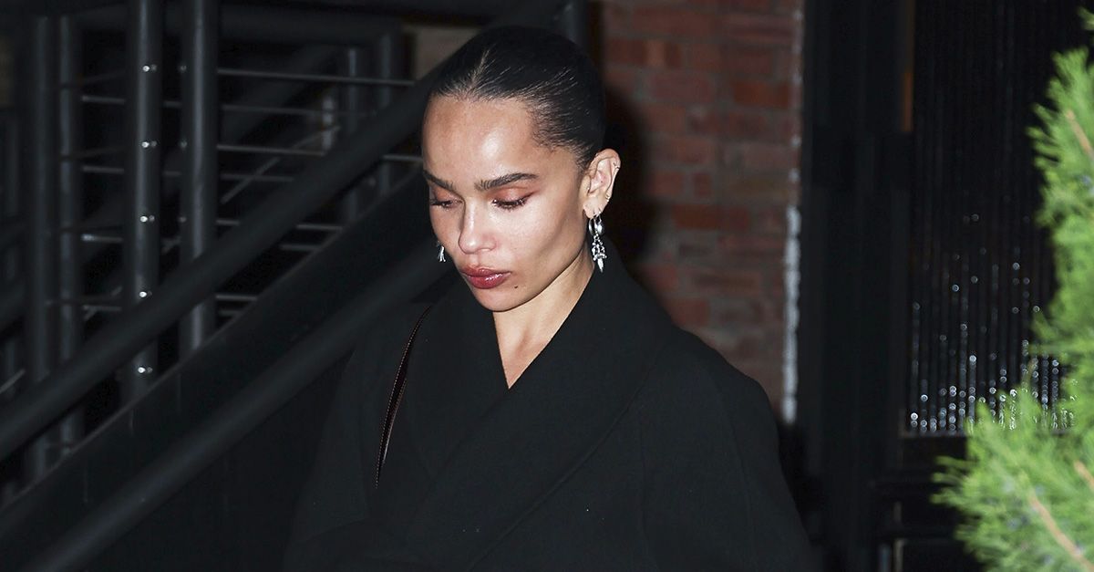 Zoë Kravitz Simply Wore 2025’s Largest Colour Development