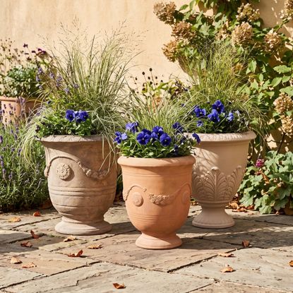 Urn planters from Amazon, Walmart and Anthropologie planted with ornamental grasses and pansies in a garden