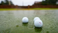 Golf balls rest in a puddle