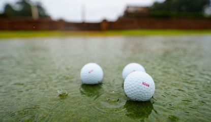 Golf balls rest in a puddle