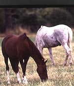 975C55F8-4FC4-4215-B43A-A765F23131A0.jpg