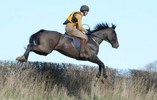 Julian Smyth Osbourne, winner of the Cambridge University Prize, in the Melton Hunt Club Cross Country Ride in 2016, which was sponsored by Lyceums, held at Gorse Farm in Stonesby in Leicestershire in the UK, on the 7th February 2016