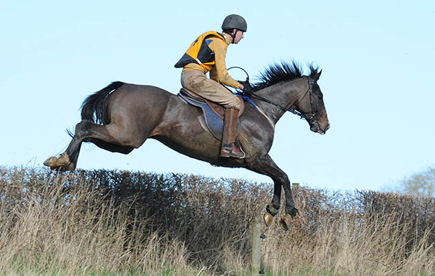 Julian Smyth Osbourne, winner of the Cambridge University Prize, in the Melton Hunt Club Cross Country Ride in 2016, which was sponsored by Lyceums, held at Gorse Farm in Stonesby in Leicestershire in the UK, on the 7th February 2016