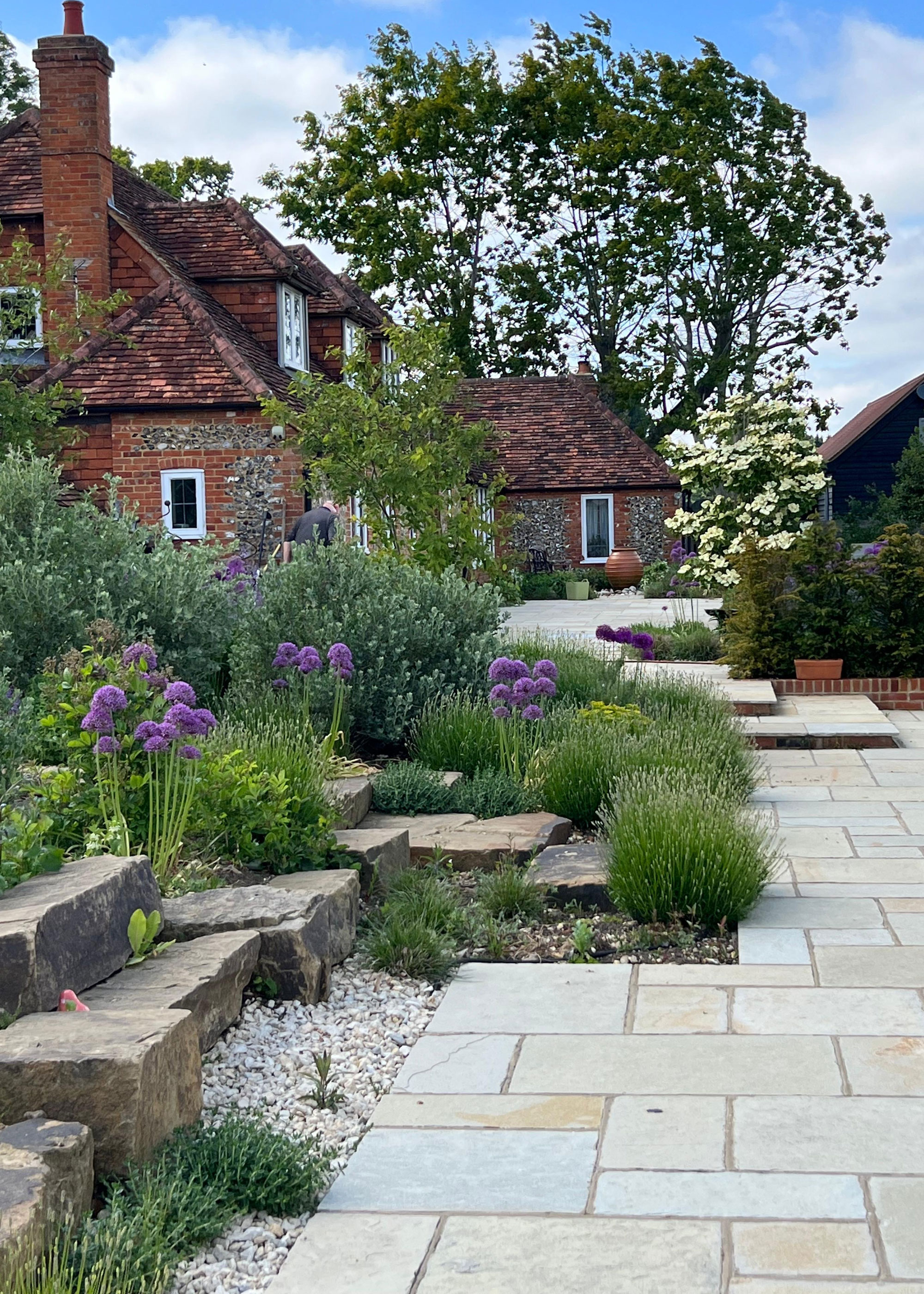 modern rock garden design with gravel, alliums and evergreen planting, house and patio