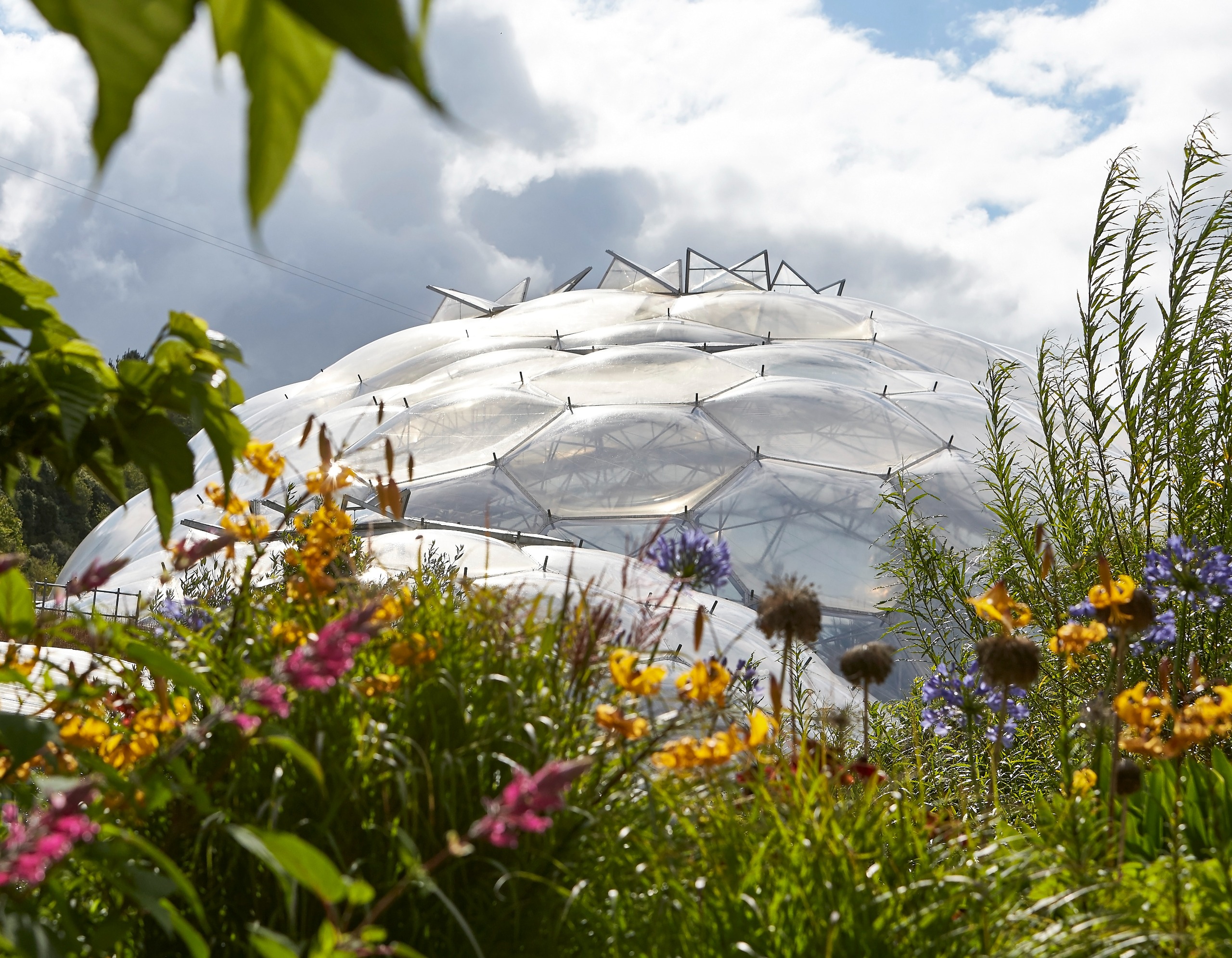 The Eden Project