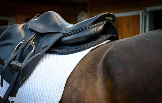 LeMieux X-Grip Twin Sided Half Pad review