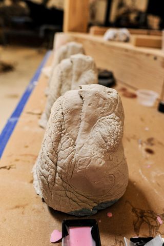 Multiple casts of Lonesome George’s head.