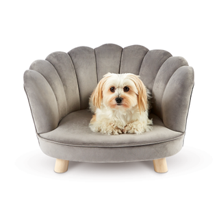 scalloped dog chair with grey color and dog