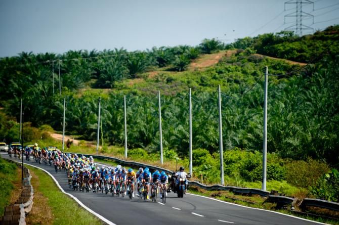 Passing through a palm tree plantation in Le Tour de Langkawi 2012