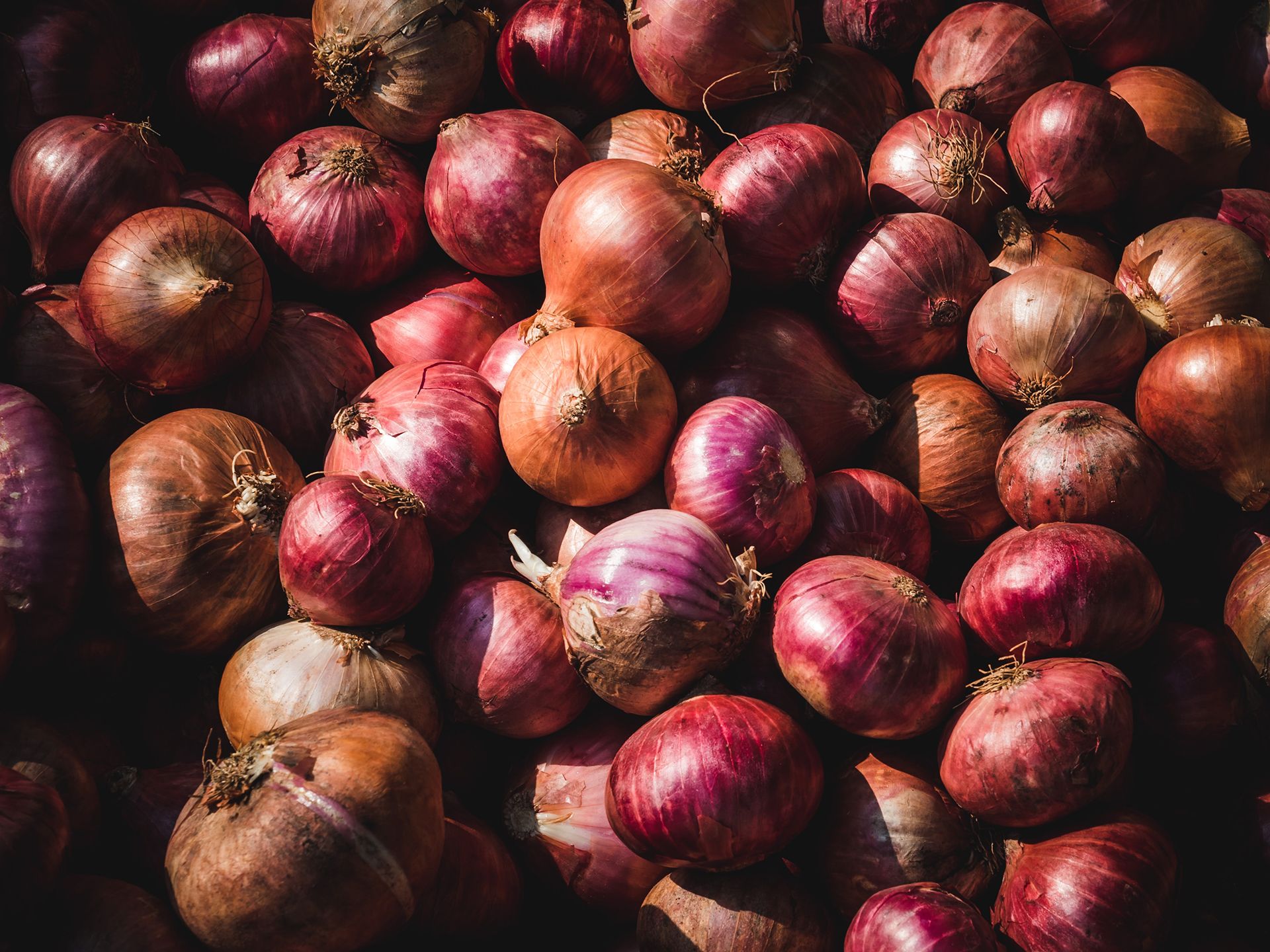 companion planting onions collection of onions unsplash goh rhy yan
