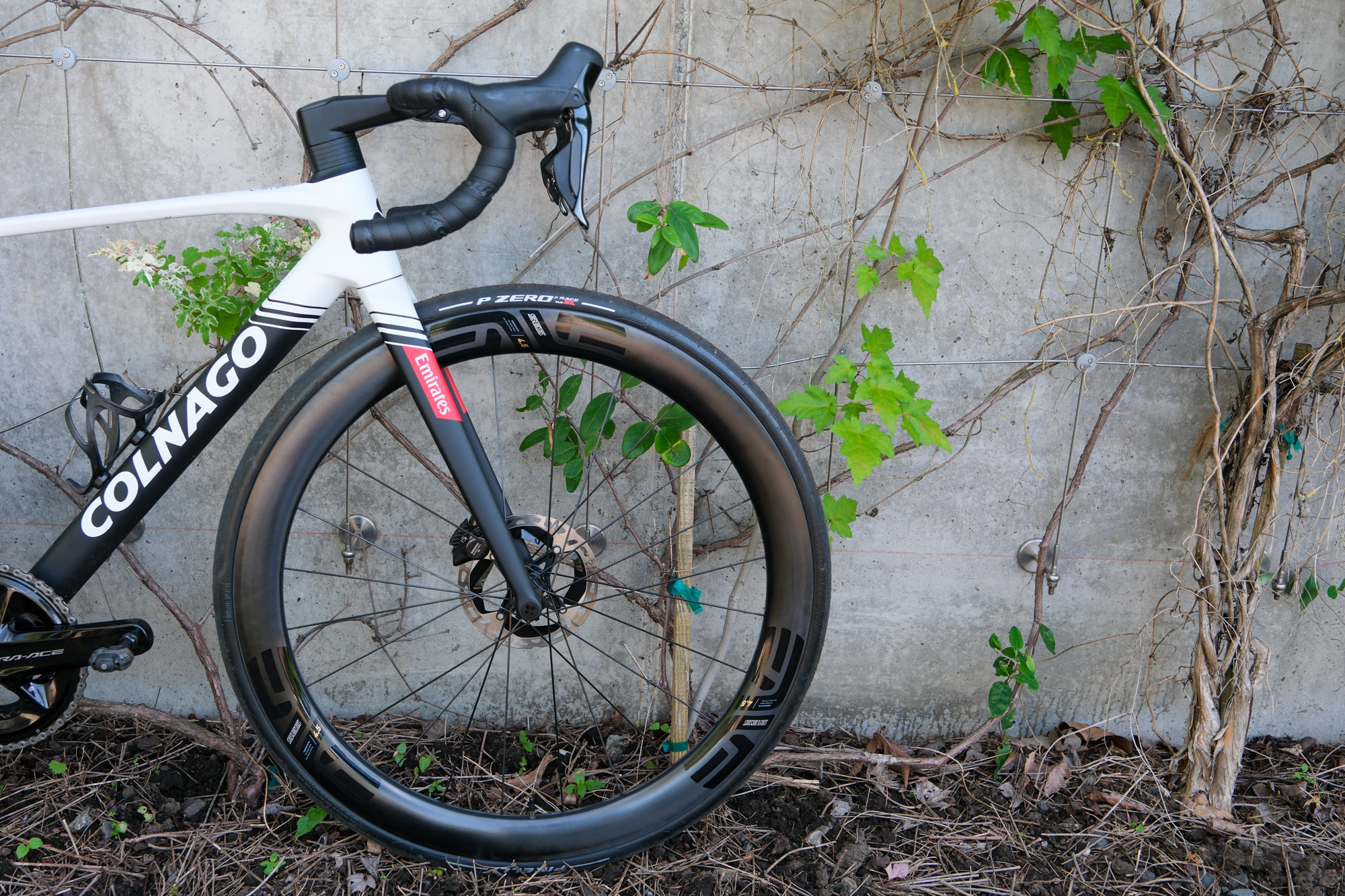 Colnago V5Rs