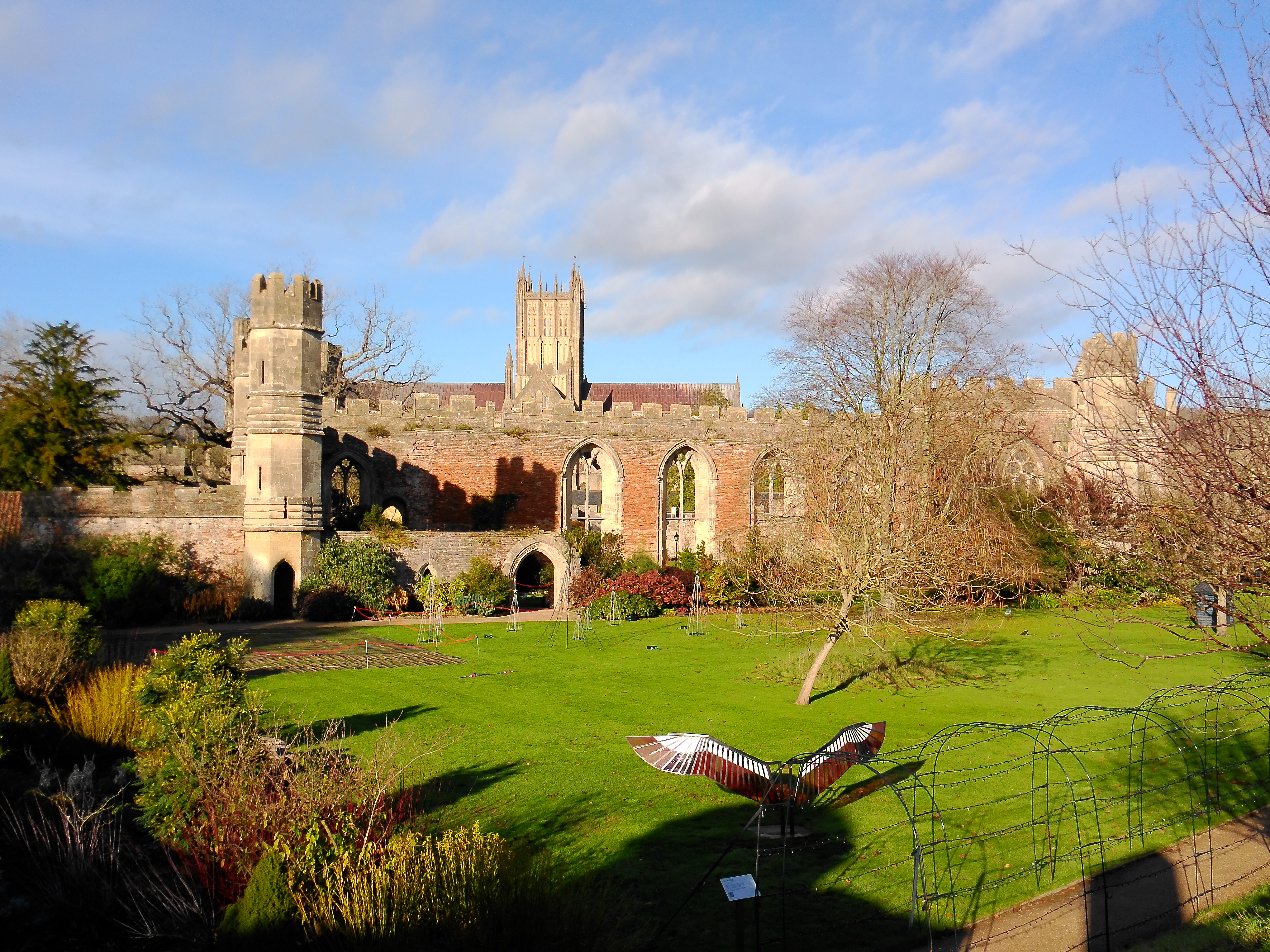 Yashica City 300 example shot