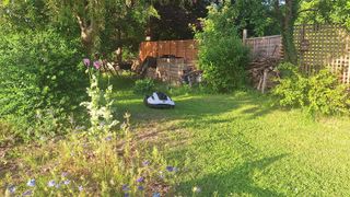 Mammotion Yuka Mini robot lawn mower in reviewer's yard