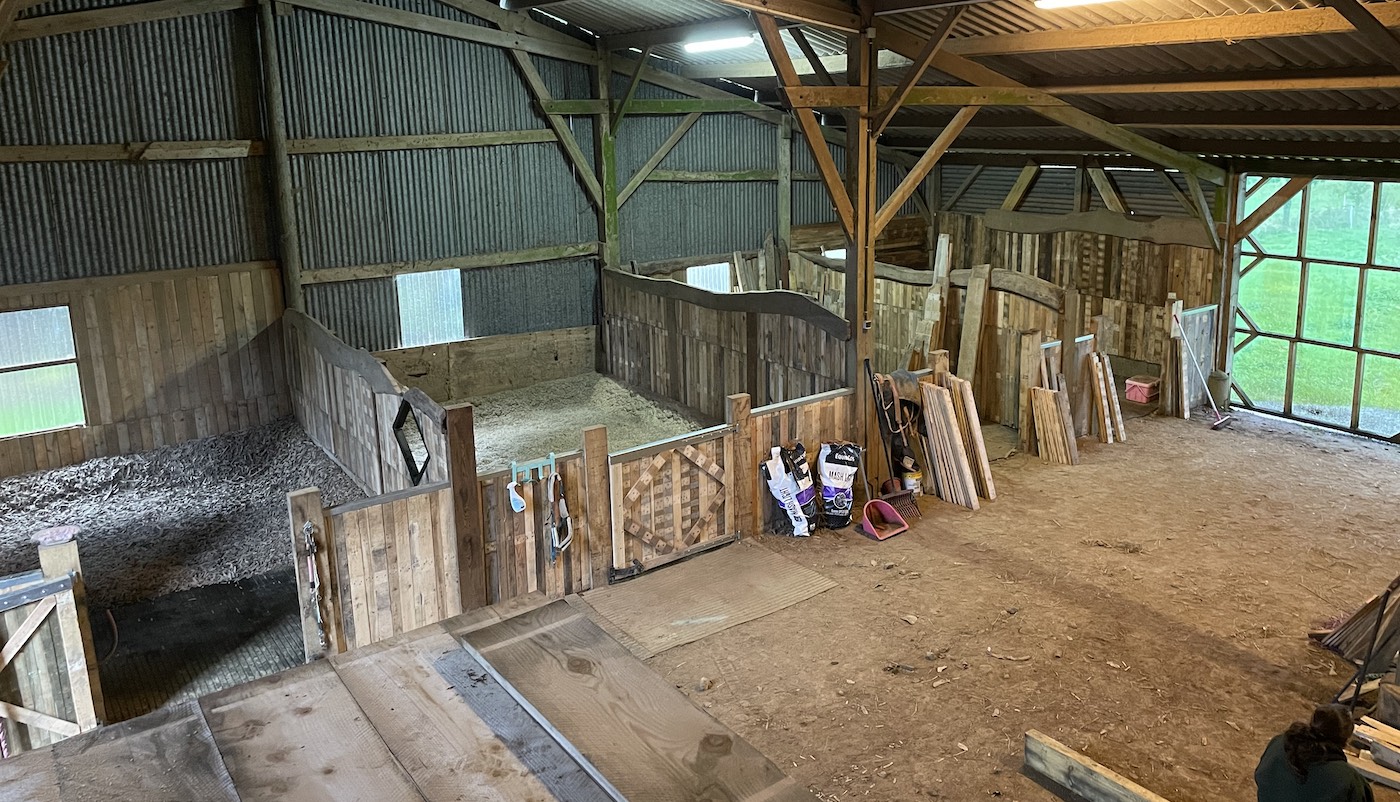 Clara3
