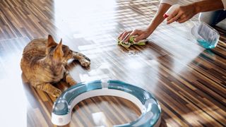 Woman cleaning floor while cat watches