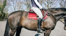close-up of rider demonstrating no stirrups