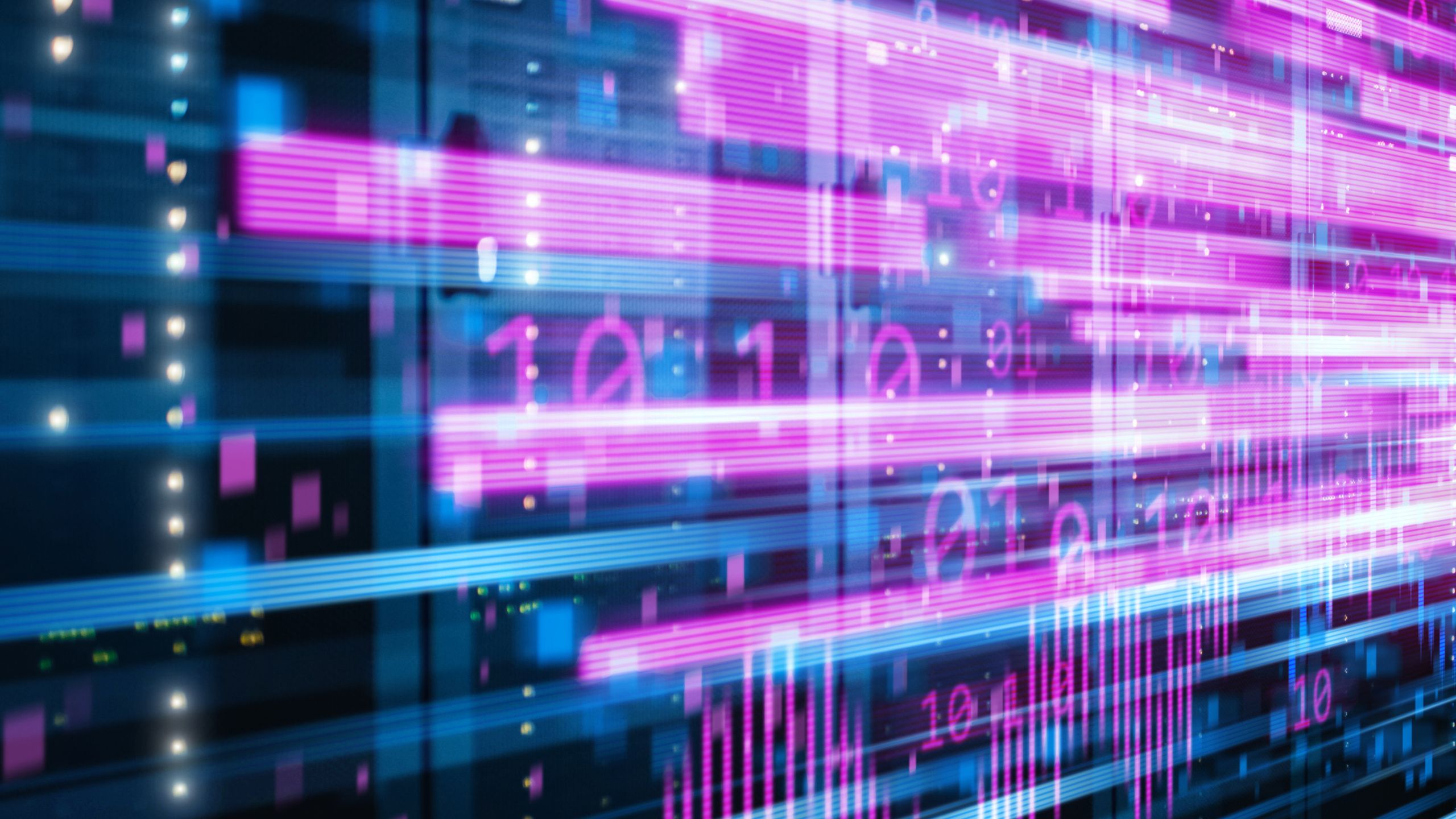 IP Infrastructure Essentials, Part 1 | AVNetwork
