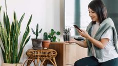 person taking photo of indoor potted plant with smartphone