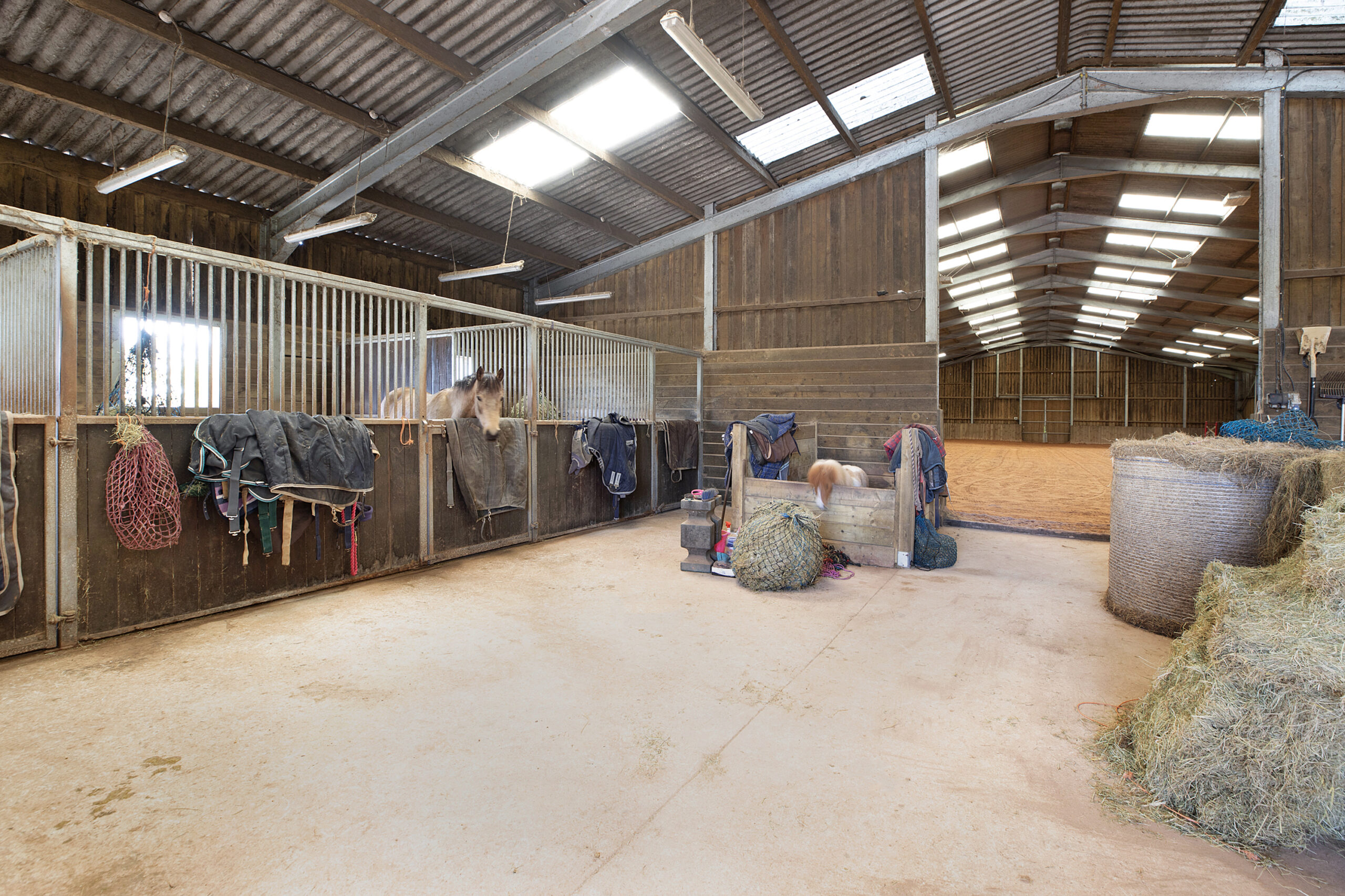The-Sanctuary-Savills-13-scaled.jpg