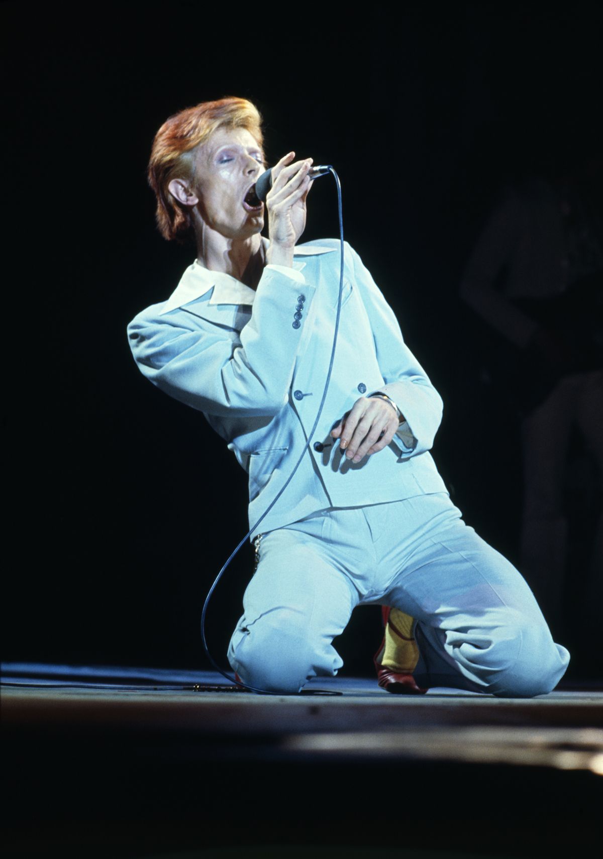 David Bowie