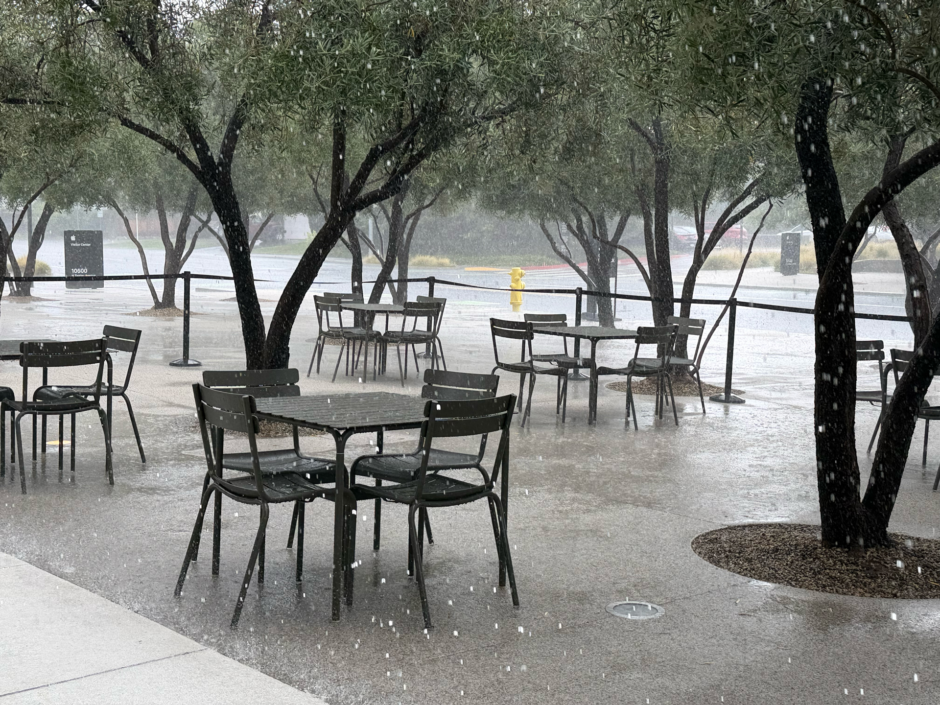 Apple iPhone 17 Pro REVIEW photo samples
