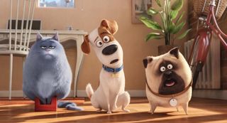 The secret life of pets