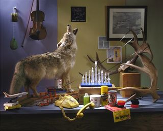 Table with a variety of objects on including a fox