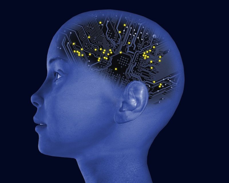 brain circuitry illustration