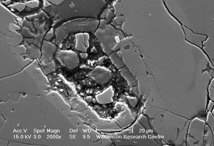 Scanning electron microscope image of a mysterious oval structure in the Nakhla Mars meteorite. Though the structure resembles a microbial cell, scientists have not claimed it&#039;s evidence of Red Planet life.