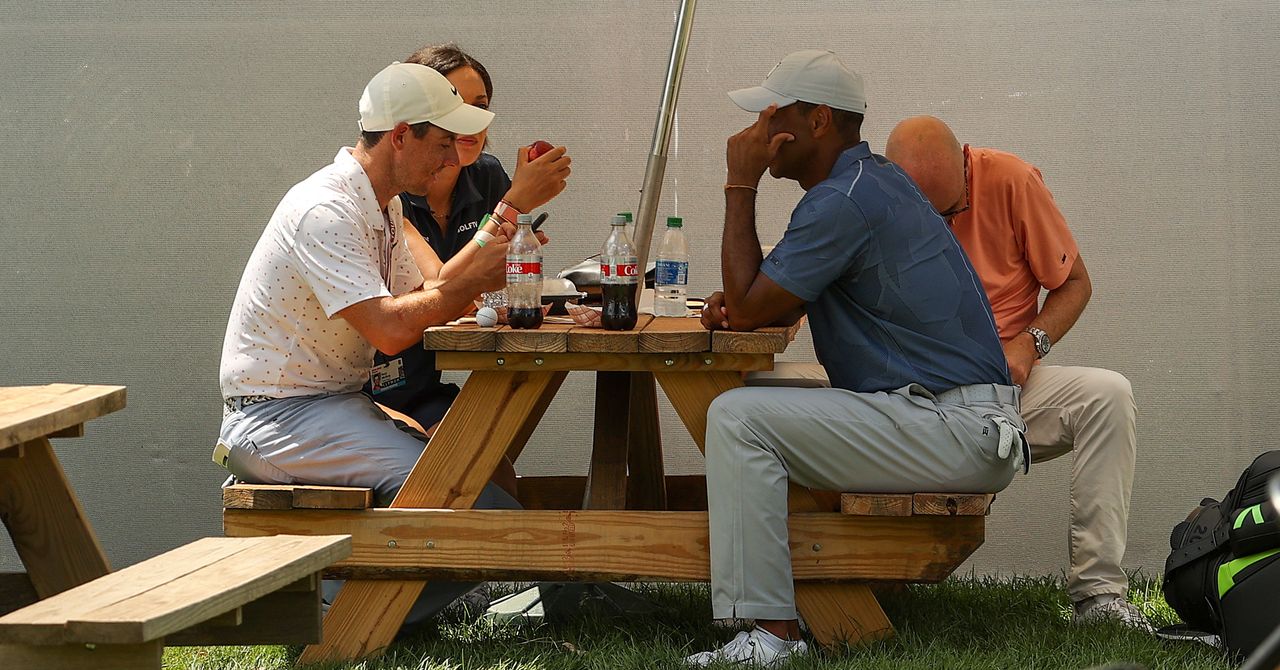 Rory McIlroy and Tiger Woods sat at a picnic bench