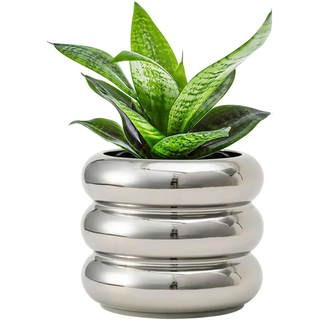 silver chrome plant pot