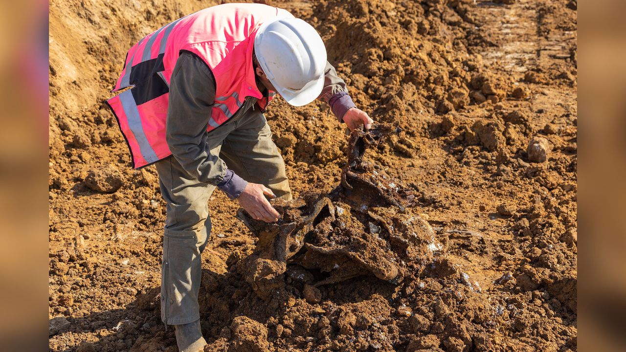 Colin Welch &ndash; seen here with a piece of metal debris from the rocket &ndash; and his brother Sean Welch have now excavated six major V2 impact site and dozens of impact sites of V1 flying bombs in southeast England.