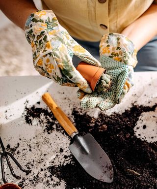 repotting a cactus