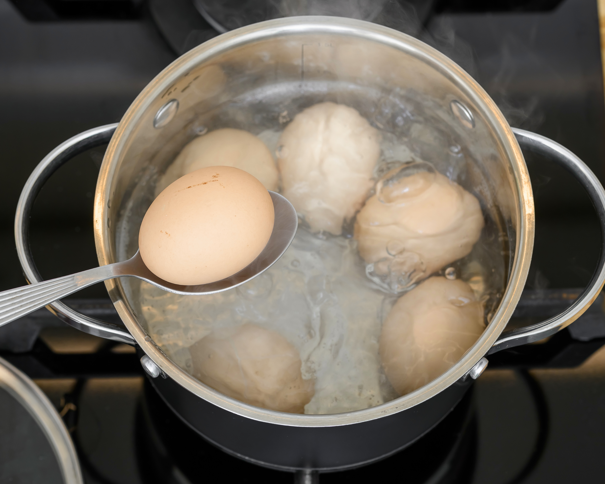 spoon pulling egg out of boiling pot of water