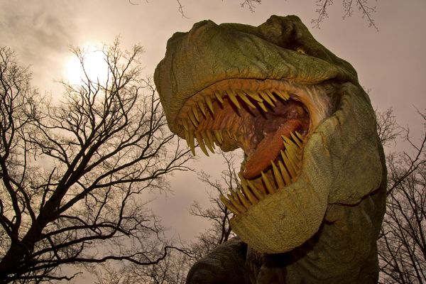 Cannibalism in Tyrannosaurus rex