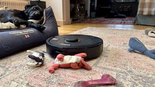 Roborock Q5 Pro Plus bumping into dog toys