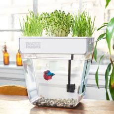 Back to the Roots aquaponic system