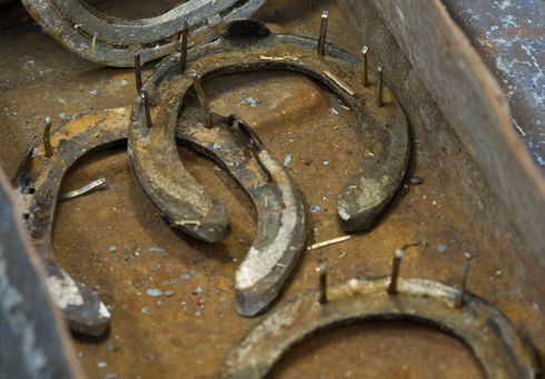 How to remove a horse shoe