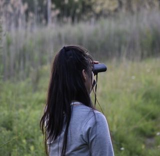 Chimney_Swifts_Count_Photoby_Karinne_Tennenbaum - Karinne Tennenbaum