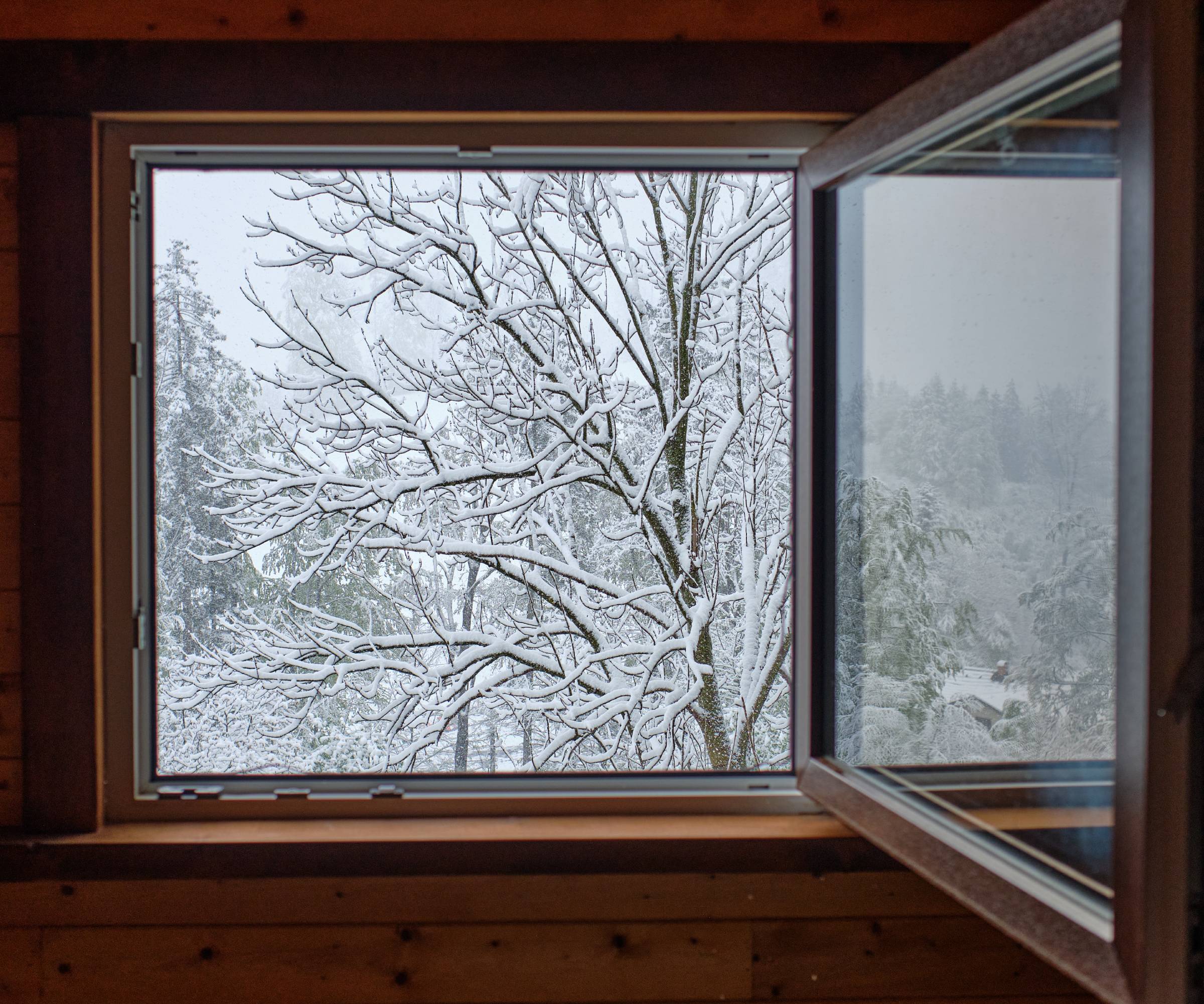 An open square window looking out over snowy trees