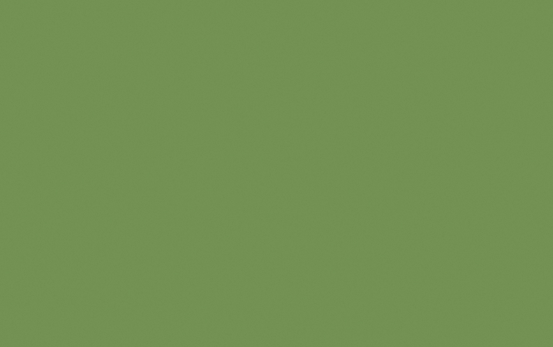 Little Greene garden paint