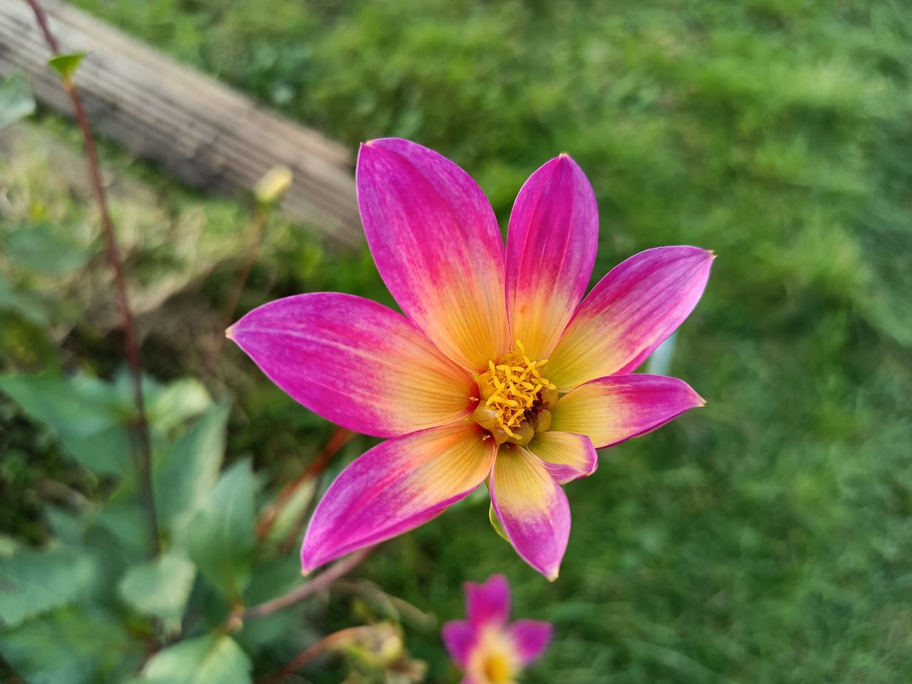 Realme 7 5G camera sample