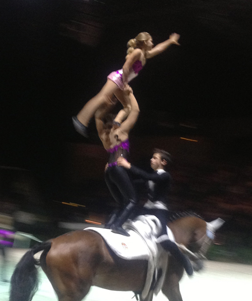 Hungarian squad, WEG 2014