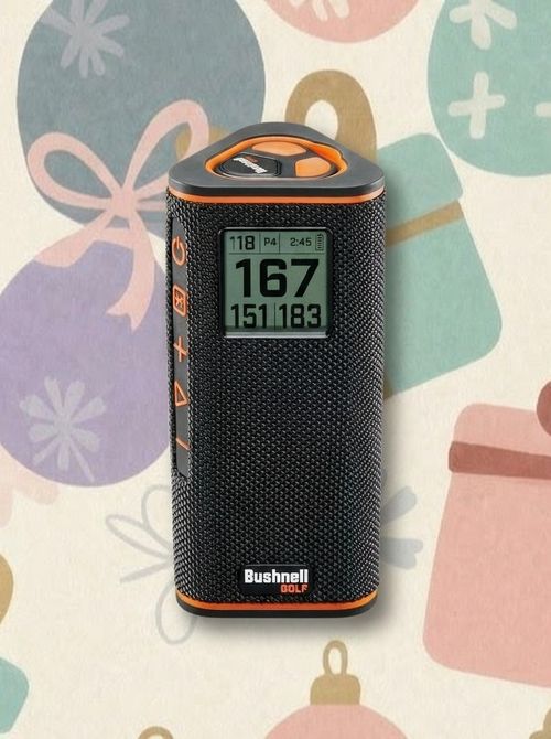 Wingman View Golf Speaker