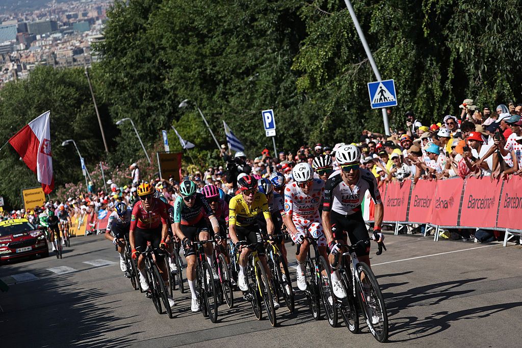 Team Visma | Lease a Bike's Danish rider Jonas Vingegaard wearing the overall leader's yellow jersey and UAE Team Emirates - XRG's Slovenian rider Tadej Pogacar wearing the climber's dotted jersey